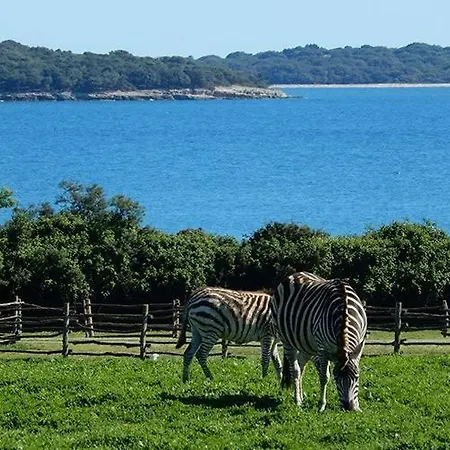 Leggiero Vila Fazana